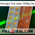 Kamagra Oral Jelly 100Mg Use 43